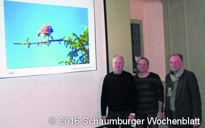 Federvielfalt und Falken in Lemgo