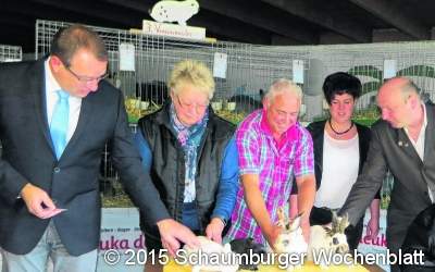 Spitzenzuchtleistungen bei der 85. Schau