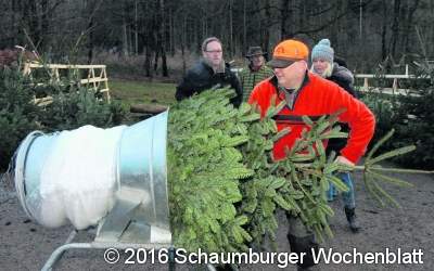 Adventsstimmung mitten im Wald genießen