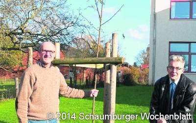 Seltener Baum für die Schule