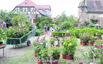 Entspannt durch die Parklandschaft flanieren