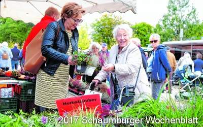 Staunen zwischen 