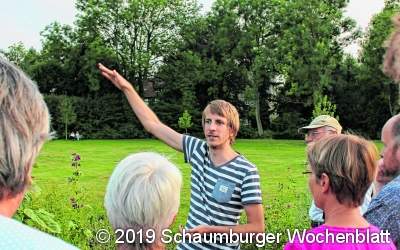 Auch Hummeln legen Eier in fremde Nester