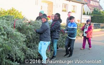 Flüchtlinge helfen beim Weihnachtsbaum