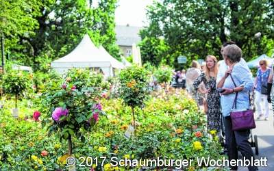 Shoppen mit Stil