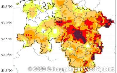 Land unterstützt bei Aufforstung