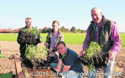 Zukunft sichern mit Anbau von Gojibeeren