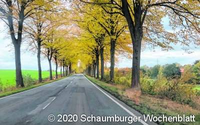 Ich mag den Herbst, weil…