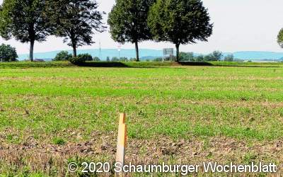 Es bleibt bei bestem Acker
für den Grünausgleich
