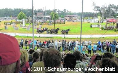 Zu den Kaltblütern nach Brandenburg