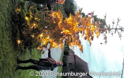 Basteleien am Baum