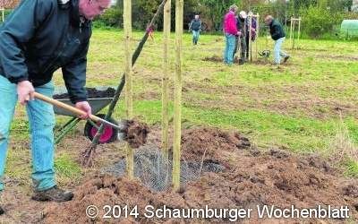 Ein Bagger hilft beim Buddeln