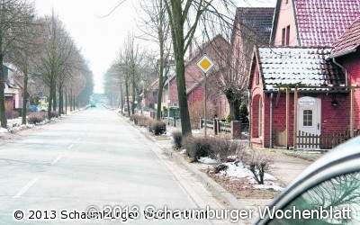Rat stimmt einem Bürgerbegehren zur Situation der Straßenbäume zu