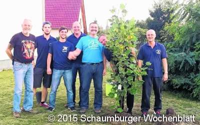 Ein Baum für 