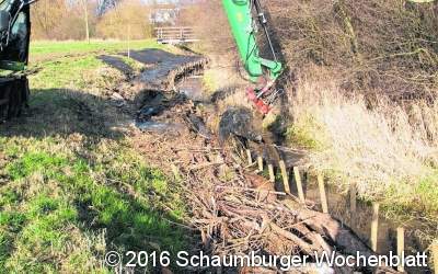 ﻿Alte Südaue ist  jetzt schmaler