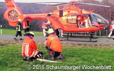 Schwerer Holzfällerunfall