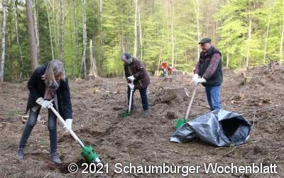 Landkreis pflanzt Baum für jedes neugeborene Kind