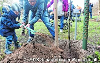 Bäume mit großem emotionalen Potential