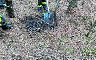 Brennender Unrat im Wald