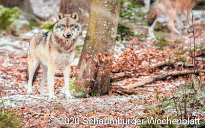 Neue Regelungen des Landes