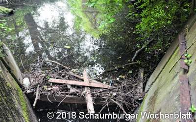 2.000 Kubikmeter Schlamm erwartet