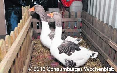 Grenzlandschau erfreut  Gäste aller Generationen