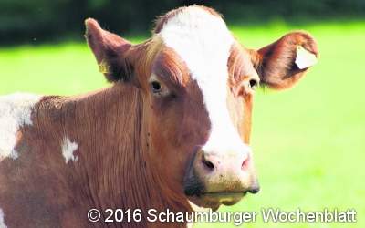 Landwirtschaft in schwierigen Zeiten