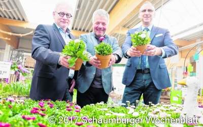 Farbige Grüße zum Frühlingsbeginn