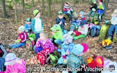 Drei Tage unterwegs im Wald