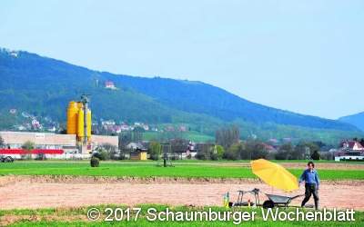 Tonscherben und Leichenbrand  aus vorrömischer Eisenzeit