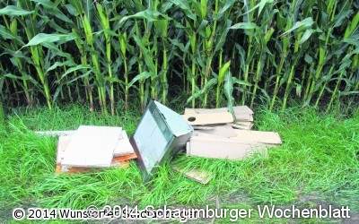 Dunstabzugshaube und Küchenmöbel entsorgt