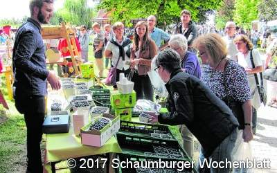 Blaubeerfest lockt die Menschen an