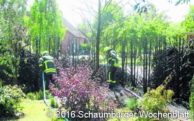 Trockene Hecke ist abgebrannt