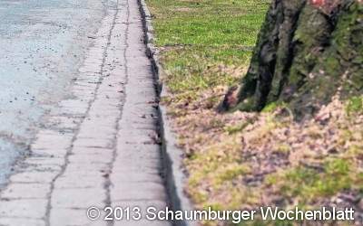 Die Frage, ob der Mensch vor oder hinter dem Baum steht