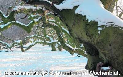 Land und EU fördern Faszination im Zickzack