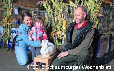 Ausstellung mit 142 Rassekaninchen