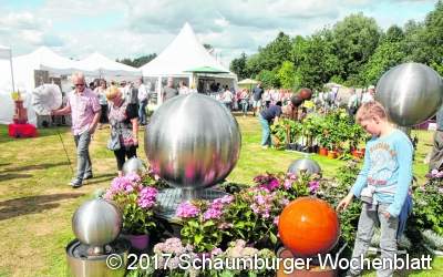 Live-Musik, Kleinkünstler und Aussteller