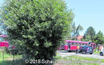 Schienenbus muss Notbremsung einlegen