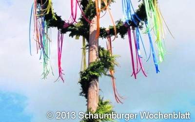 Maibaum pflanzen