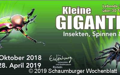 Programm des Heimatbundes