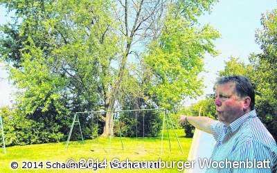Zwei Zuckerahornbäume werden vergiftet