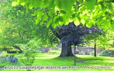 Sommerliches Orgelkonzert im Stift