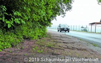 Passanten stolpern an der Linde