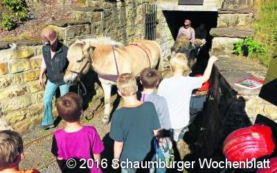 Die mutigsten Besucher hauen selbst ihre Kohle