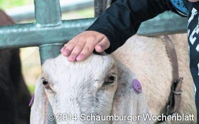 Landwirtschaft hautnah erleben