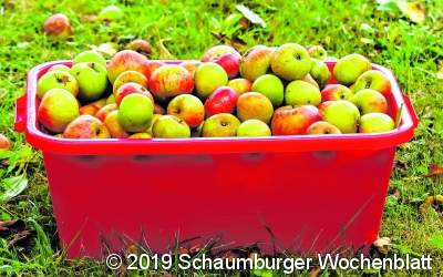 Apfelfest auf der Streuobstwiese
