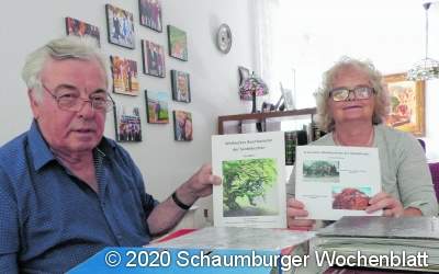 Weltweit gibt es immer mehr 
der seltenen Süntelbuchen