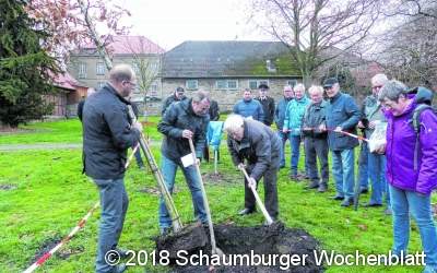 Ein Baum für den Jubilar und Holz für Lauenau