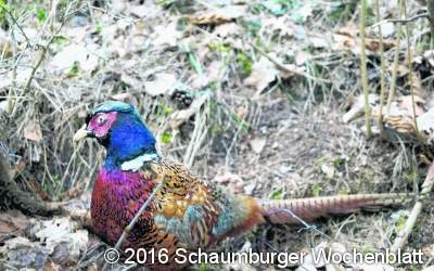 ﻿Schnuppertag bei der Jägerschaft