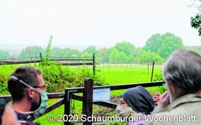 Metawerk-Pläne:
Stadt hat nichts erhalten